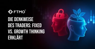 Die Denkweise des Traders Fixed vs. Growth Thinking erklärt DE