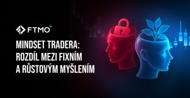 Mindset tradera rozdíl mezi fixním a růstovým myšlením CZ